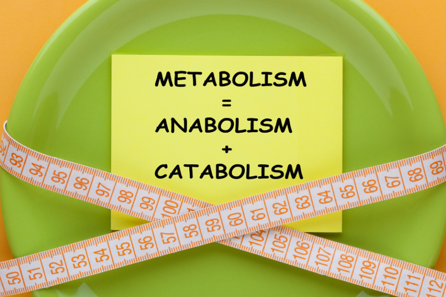 metabolic function