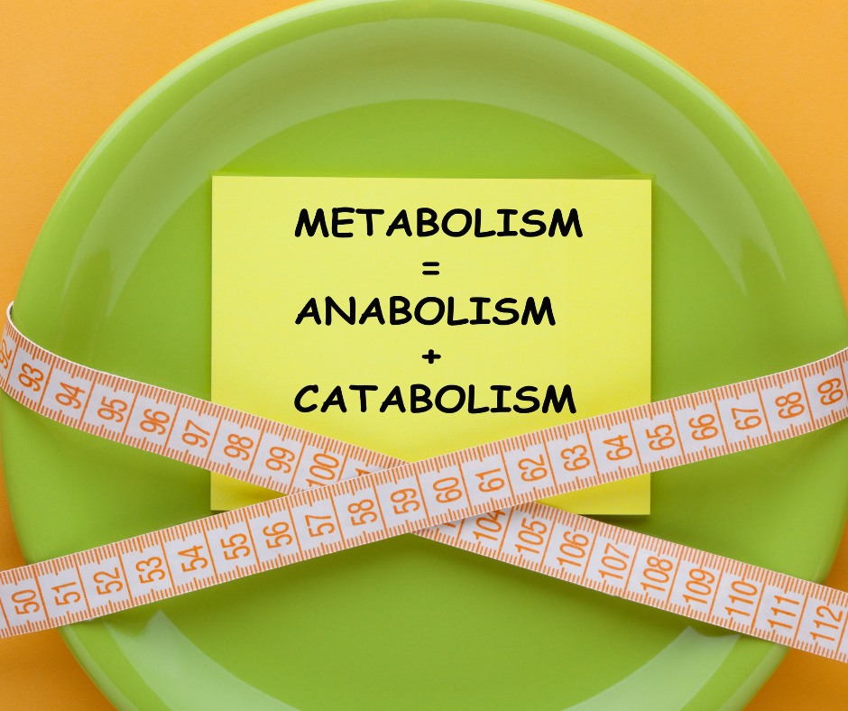 metabolic function